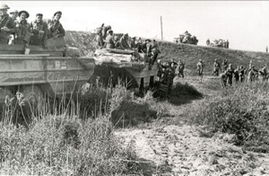 alleati.jpg