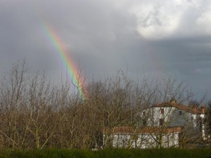 arcobaleno