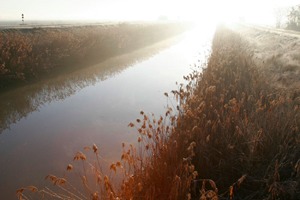 canalburana.jpg