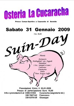 cucaracha_suino