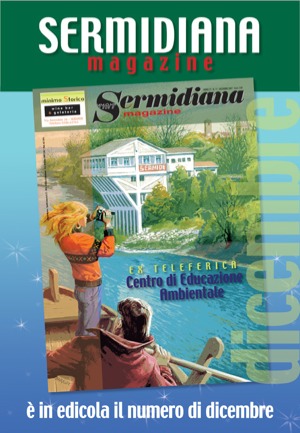 locasermi.jpg