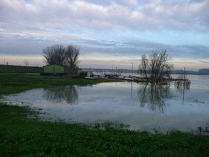 piena_po_08