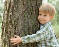 bambino albero