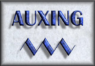 AUXING_logo