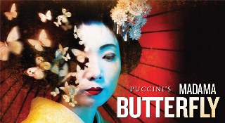 Butterfly 320x175