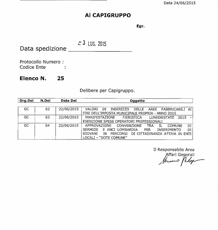 delibera 25 del 3 luglio 2015 729x768