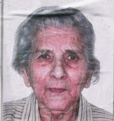 Berni Leda 226x240