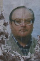Franco Zapparoli 158x240