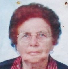 Vicenzi Bruna 239x240