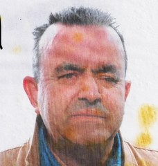 Zuccoli Nedo 228x240