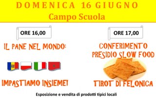 16giugno  felonica 320x200