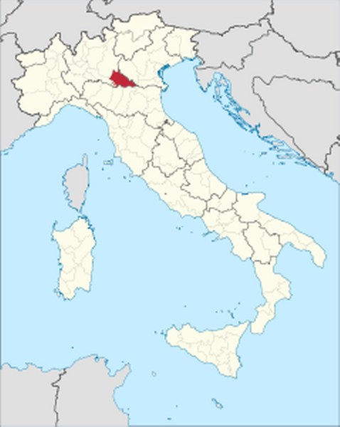 239px-Mantova_in_Italy.svg_478x600
