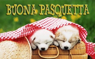 Buona-pasquetta 320x200