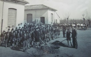 Festa alberi 320x200