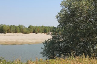 IMG_1328_320x213