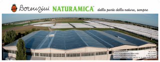 LORENZINI_FOTOVOLTAICO