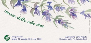 MUSEO ERBE 320x152