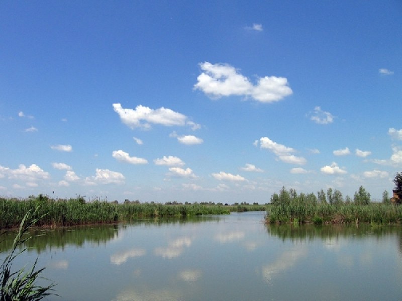Paludi_di_Ostiglia_800x599