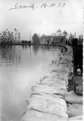 Piena_1951_166x240