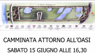 camminata digagnola 320x177