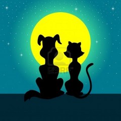 cane luna 240x240