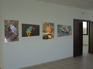 centro_educazione_ambientale_320x236