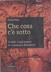 che cosa cè sotto 169x240