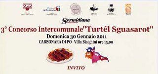 concorso_turtl