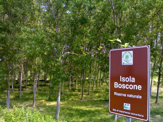 isola boscone 320x240