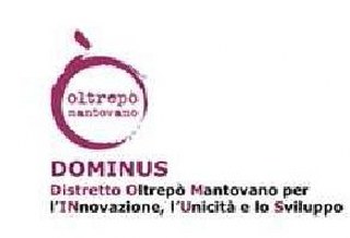 logo Dominus 320x218