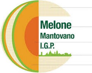 logo consorzio meloneMN 302x240
