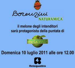lorenzini_mela_verde