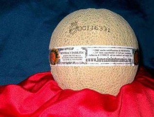 lorenzini melone 317x240
