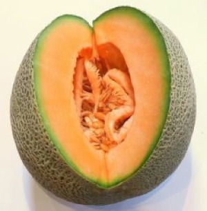 melone