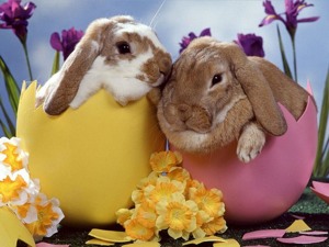 pasqua09