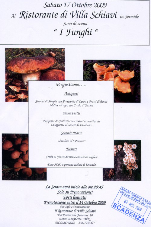 ristorante_villa_schivi