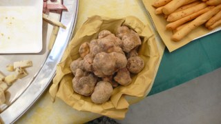 tartufo bianco 320x180