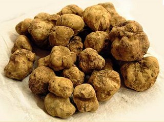 tartufo_bianco_320x238