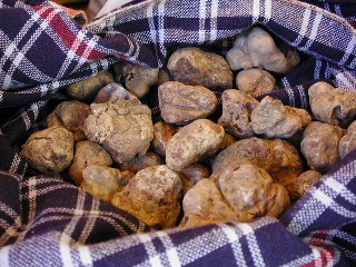 tartufo_santagostino
