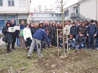 verde_che_vorrei_320x240