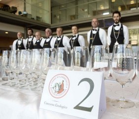 vini premiati 282x240