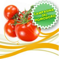 pomodoro 240x240 240x240