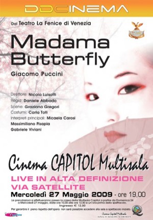 capitol_butterfly