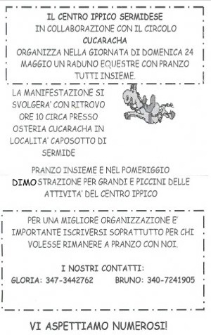 cucaracha_cavalli