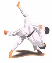 judo 198x240