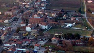 moglia_campo