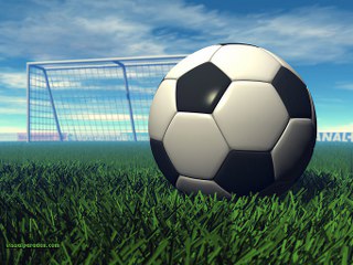 pallone calcio 320x240