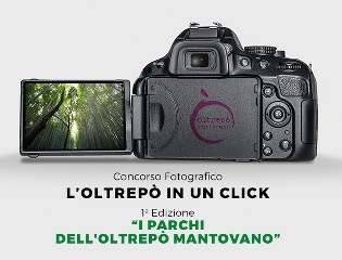 concorso foto 315x240