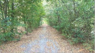 digagnola passeggiata 320x177