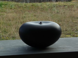 goccia ogata 320x240